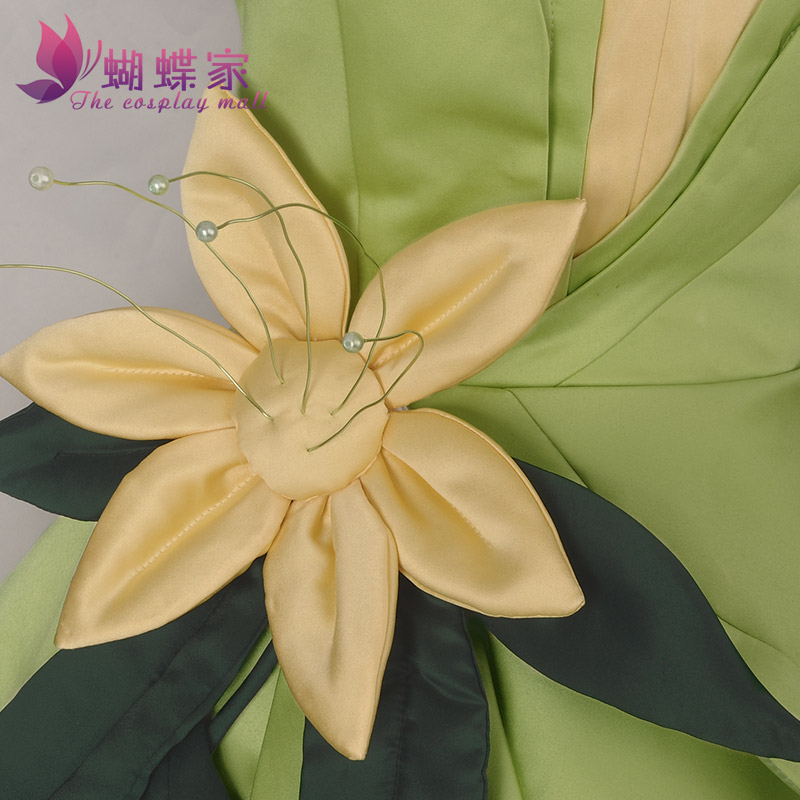 Princess Tiana Dress Cosplay C - Men Accessories For Party 评论和价格