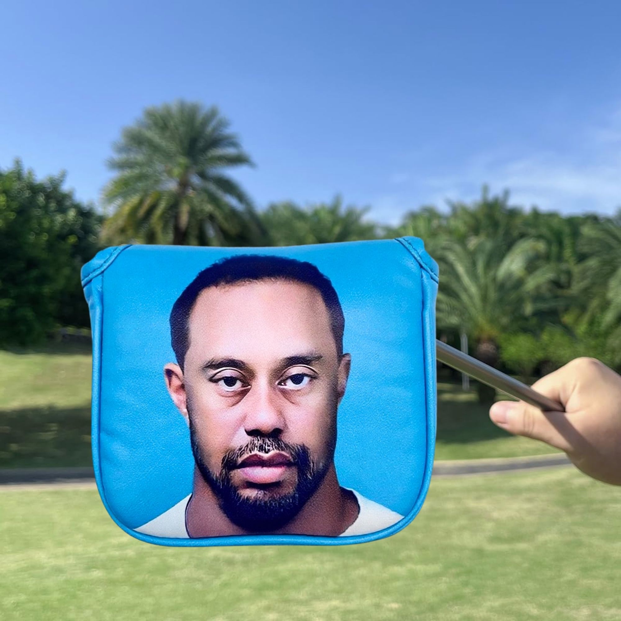 Funny Golf Mallet Putter Head  - Men'S Mens Accessories 评论和价格
